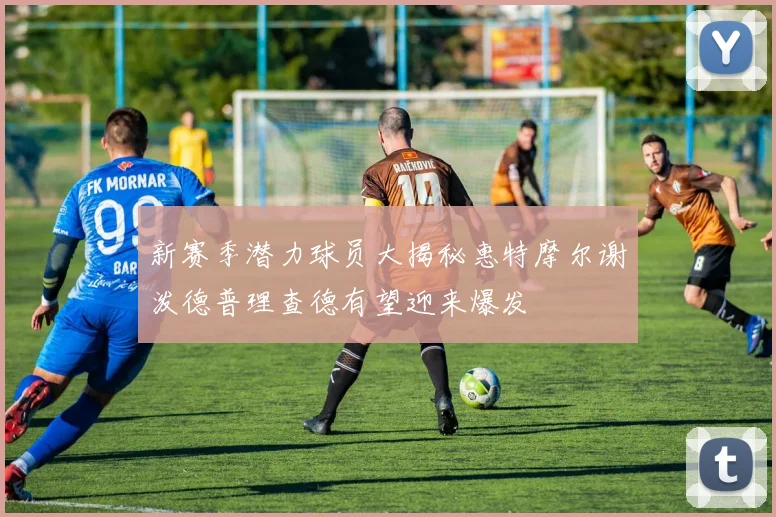 新赛季潜力球员大揭秘惠特摩尔谢泼德普理查德有望迎来爆发